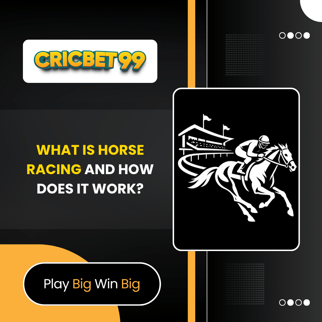 What Is Horse Racing and How Does It Work